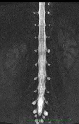 177602e1-cfb9-4131-8c17-3ed521d580d4