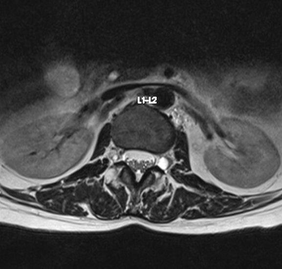 24efd3cc-18b5-46ef-9532-3d38946f94b5